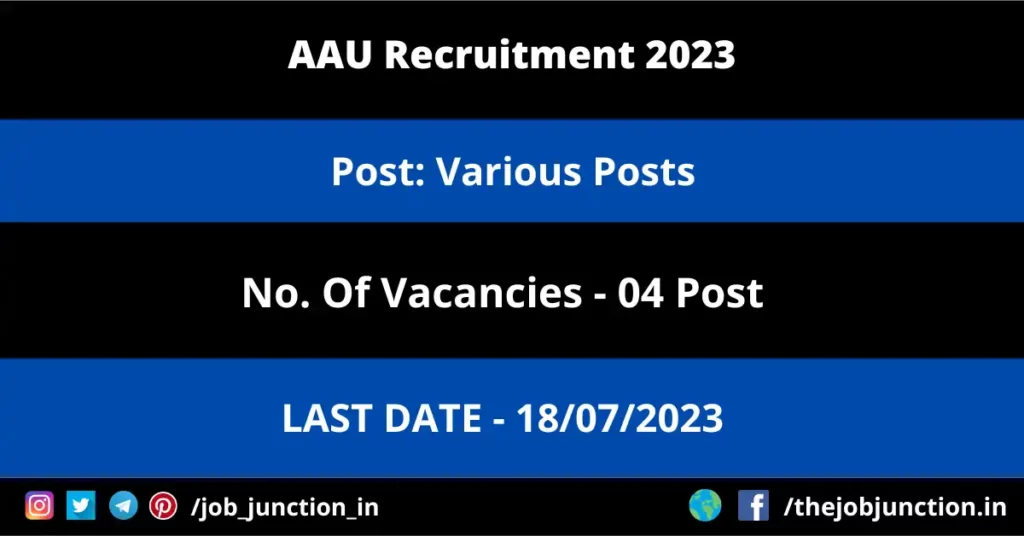 NIEPA Project Consultant Recruitment 2023 JOB JUNCTION AAU Recruitment 2023